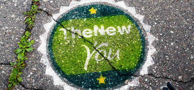 The New You Program